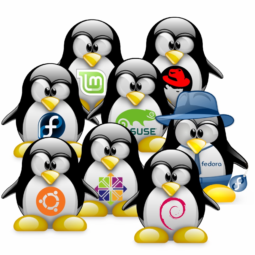 Une multitude de distributions Linux